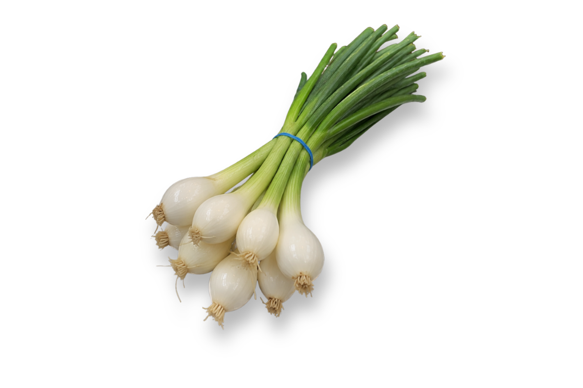 Cebolla Cambray