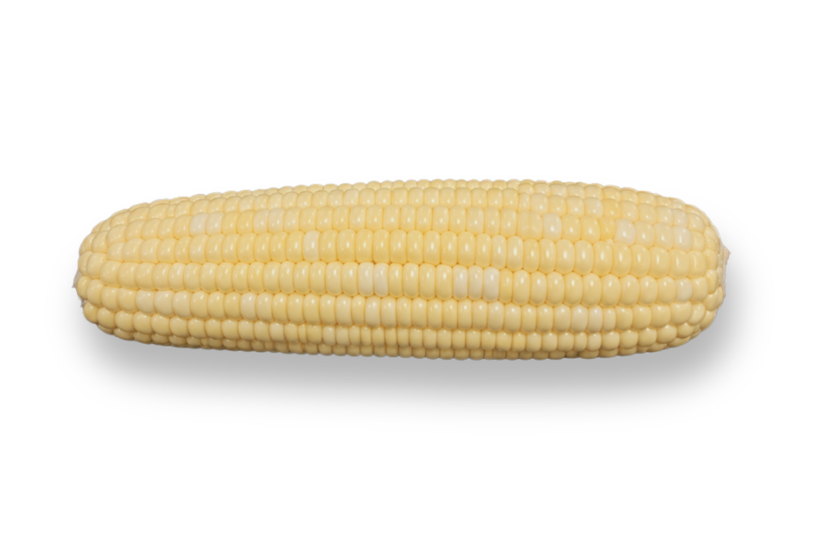 Elote Entero Loteh