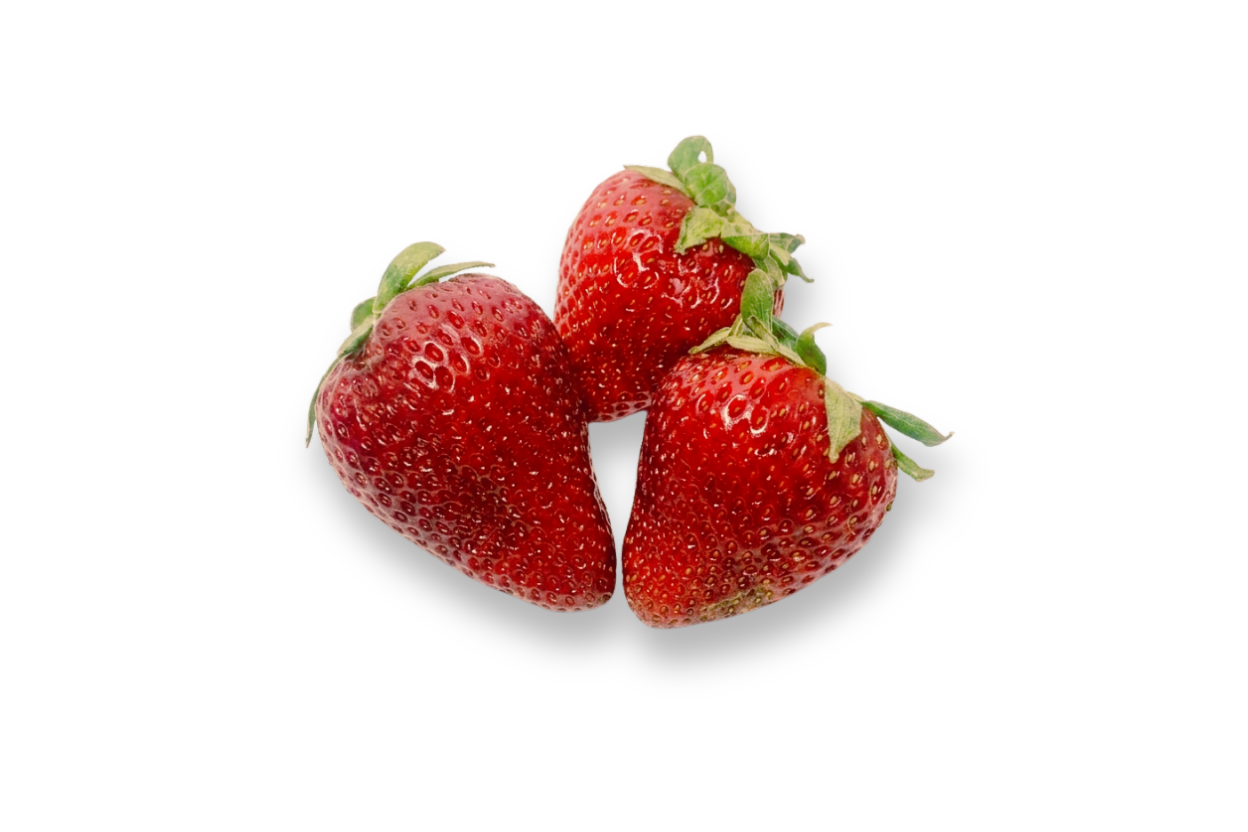 Fresa Fresca