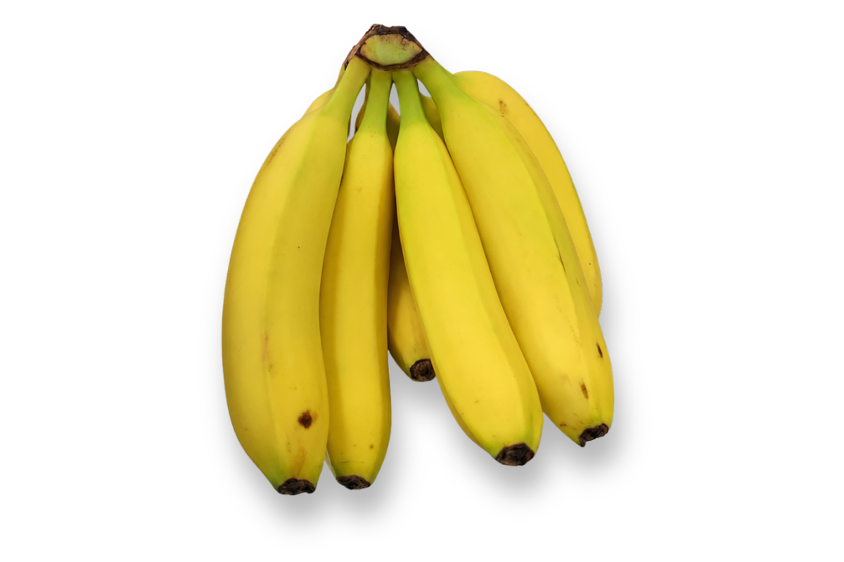 Platano