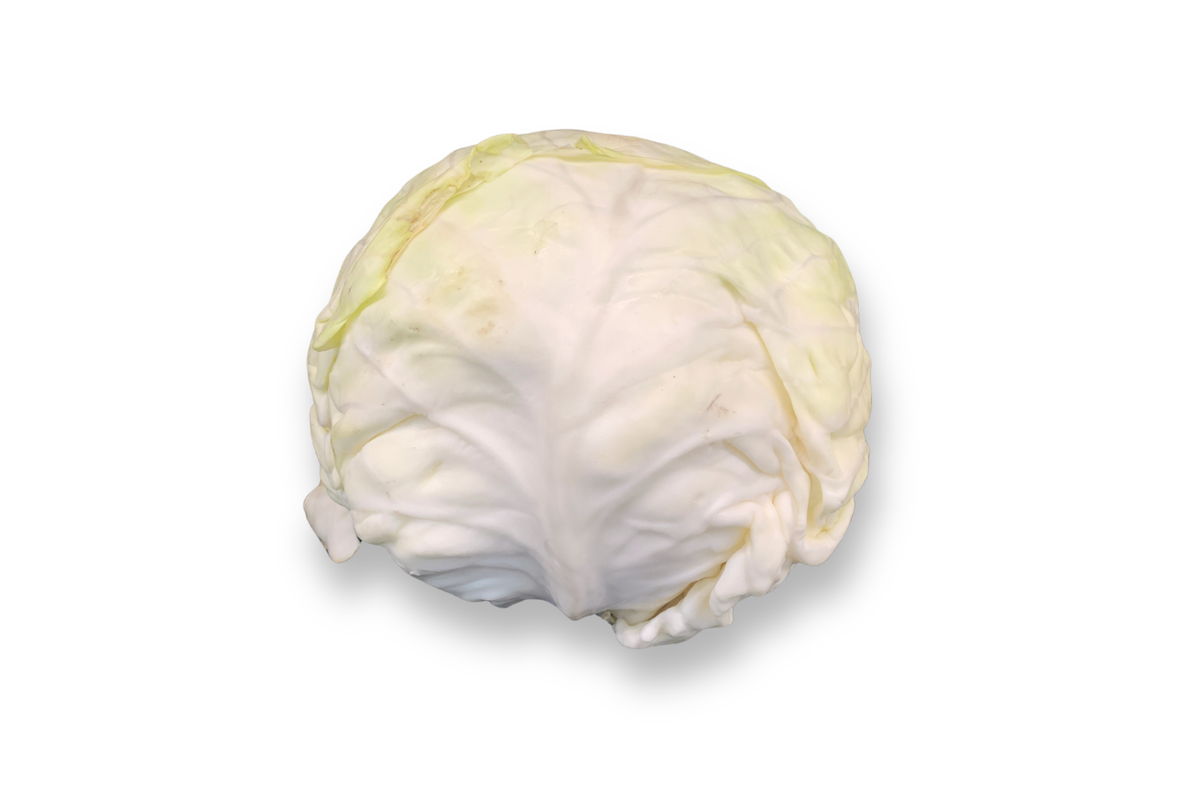 Repollo