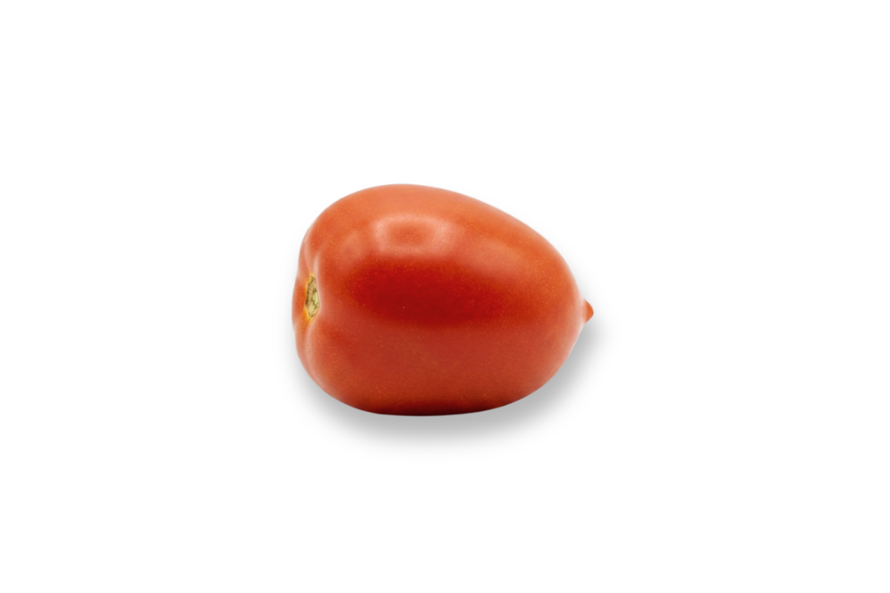 Tomate Saladette