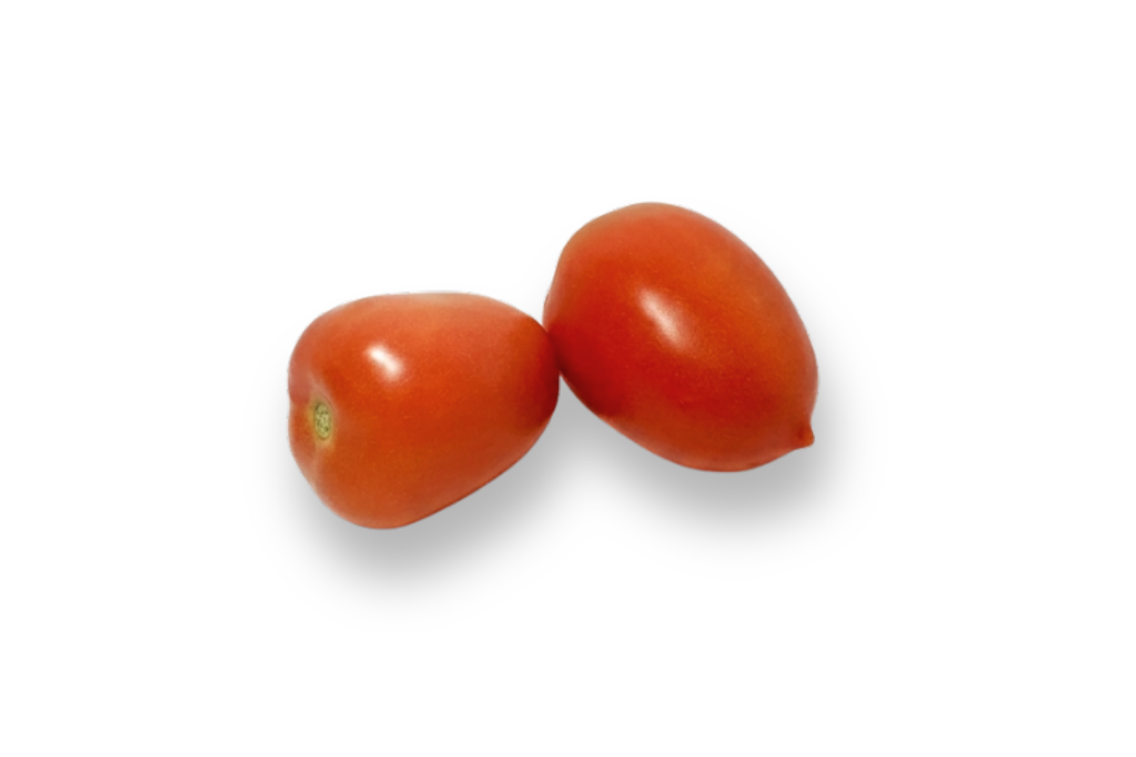 Tomate Saladette